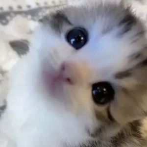 Meet your Posher, Mar